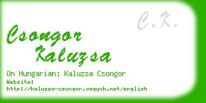 csongor kaluzsa business card